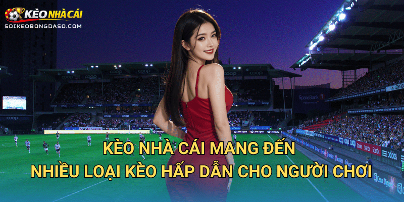 Kèo Nhà Cái Mang Đến Nhiều Loại Kèo Hấp Dẫn Cho Người Chơi