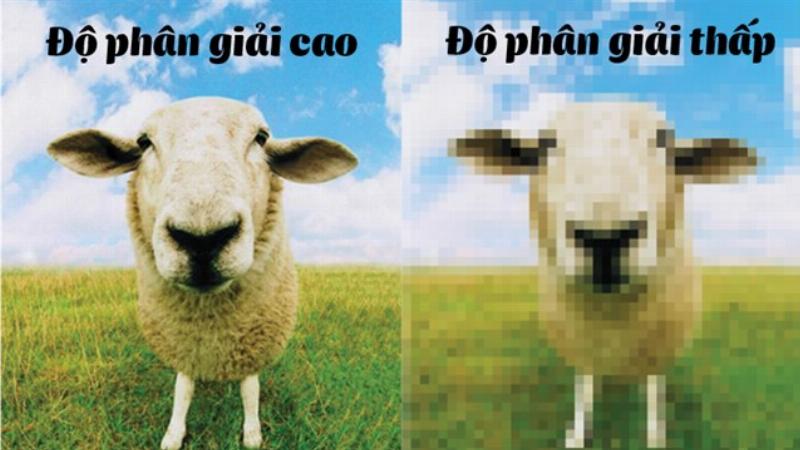 Hinh anh minh hoa su khac biet khi in anh co do phan giai thap va cao, cho thay hien tuong vo hat voi anh thieu pixel