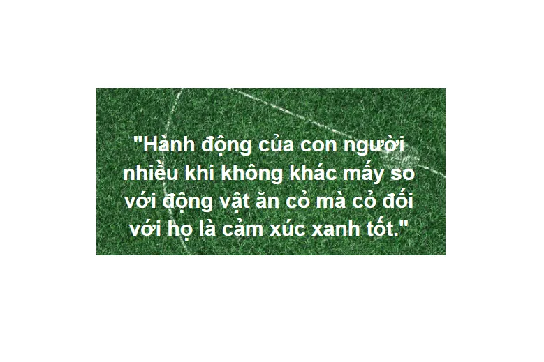 Minh họa xe nâng tay inox