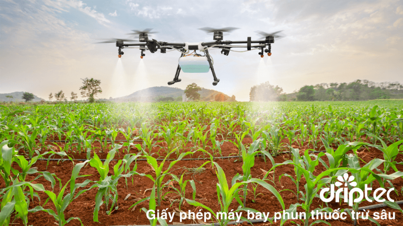 Quy trình các bước sử dụng máy phun thuốc an toàn và hiệu quả cho người làm nông nghiệp