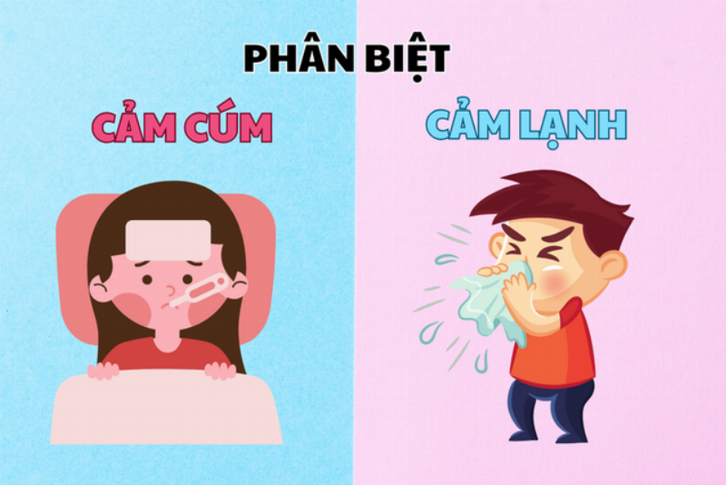 Các loại thiện cảm khác nhau