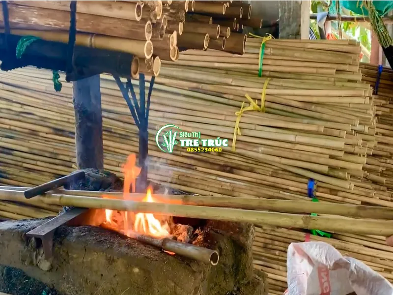 Cách nắn tre tre trúc