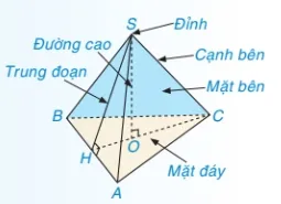 Hình chóp tam giác đều