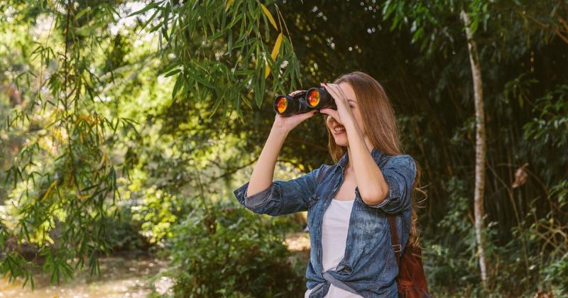 Các đặc điểm nhận biết người tri kỷ là gì trong cuộc sống thường ngày