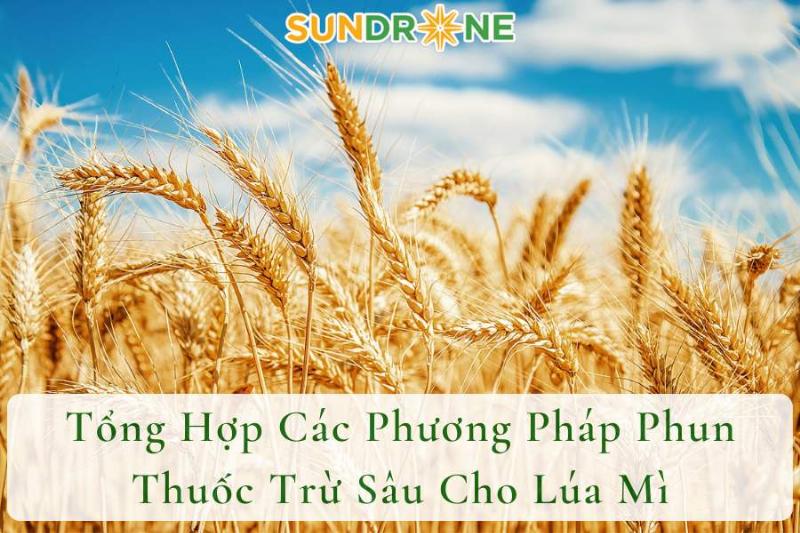 Hình ảnh máy phun thuốc trừ sâu đang hoạt động trên cánh đồng giúp bảo vệ cây trồng khỏi sâu bệnh