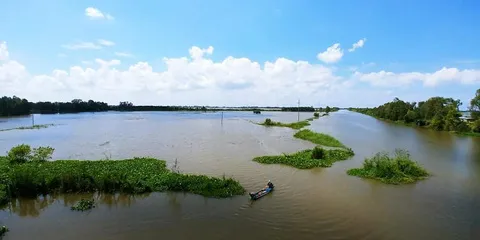 Hình ảnh sông nước miền Tây.
