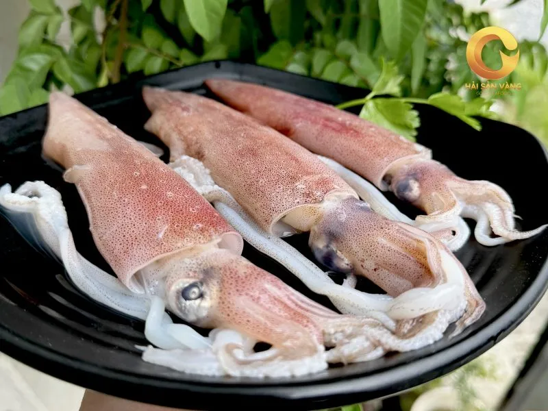 Xe nâng tay inox chất lượng