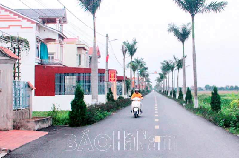 Những con đường đồng chiêm