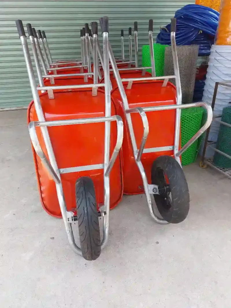 Các loại rùa xanh mini với tải trọng khác nhau, đặt cạnh nhau để so sánh