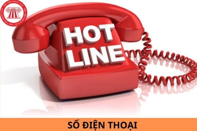 Các số điện thoại khẩn cấp phổ biến ở Việt Nam: 113, 114, 115