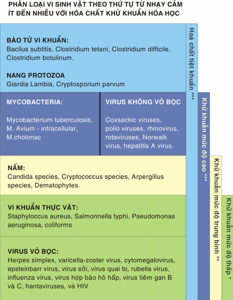 Biểu đồ hoặc hình ảnh minh họa sự khác biệt giữa khí nén từ máy không dầu (sạch) và máy có dầu (có lẫn hơi dầu), có thể dùng các bong bóng khí tượng trưng