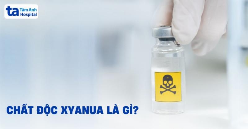 Hình ảnh so sánh phản ứng p+o2 bùng nổ với một ví dụ đời thường về sự kết hợp mạnh mẽ, ví dụ như ý tưởng và hành động tạo ra kết quả lớn.