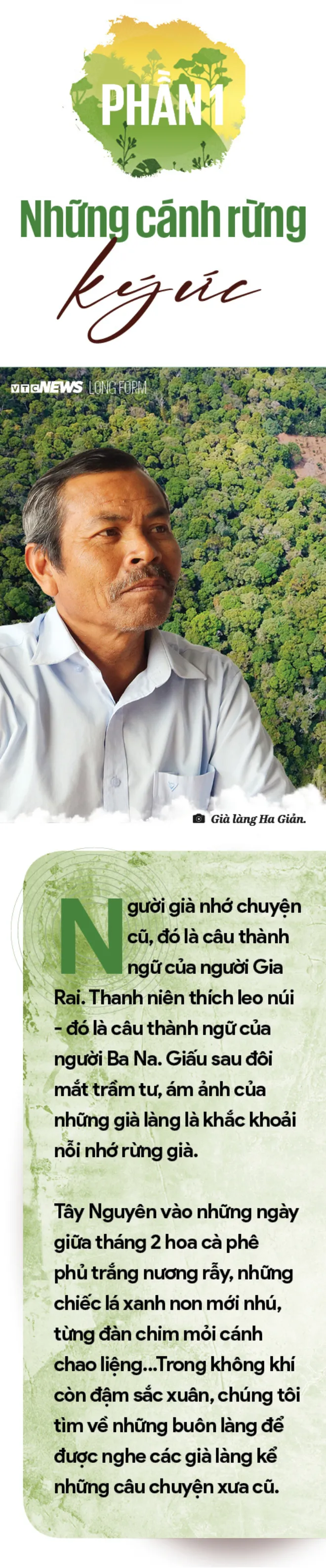 Ký ức về rừng xanh Tây Nguyên