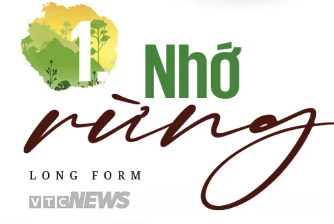 Rừng đại ngàn Tây Nguyên