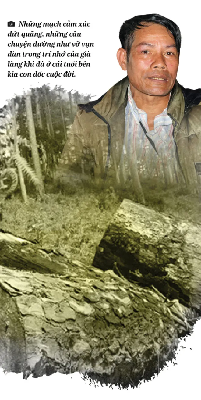 Rừng nguyên sinh Tây Nguyên