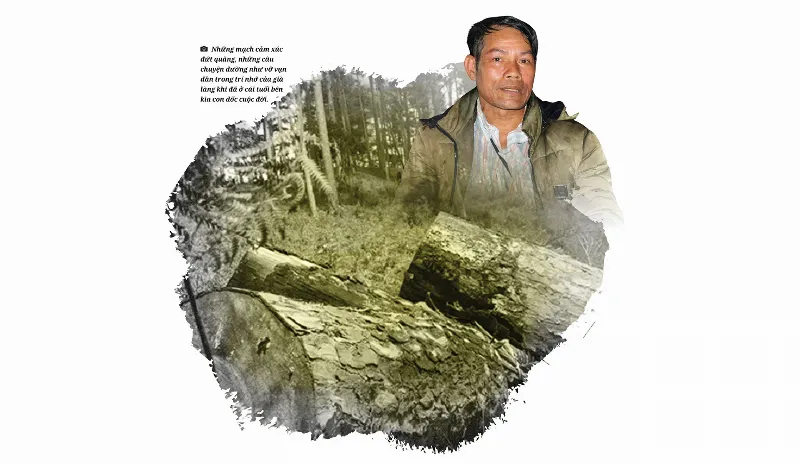 Rừng nguyên sinh Tây Nguyên