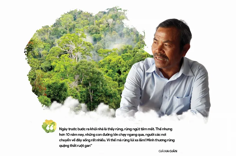 Người giữ rừng