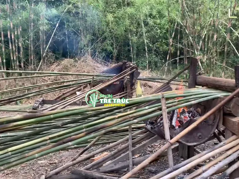 Hướng dẫn cách uốn nắn tre trúc